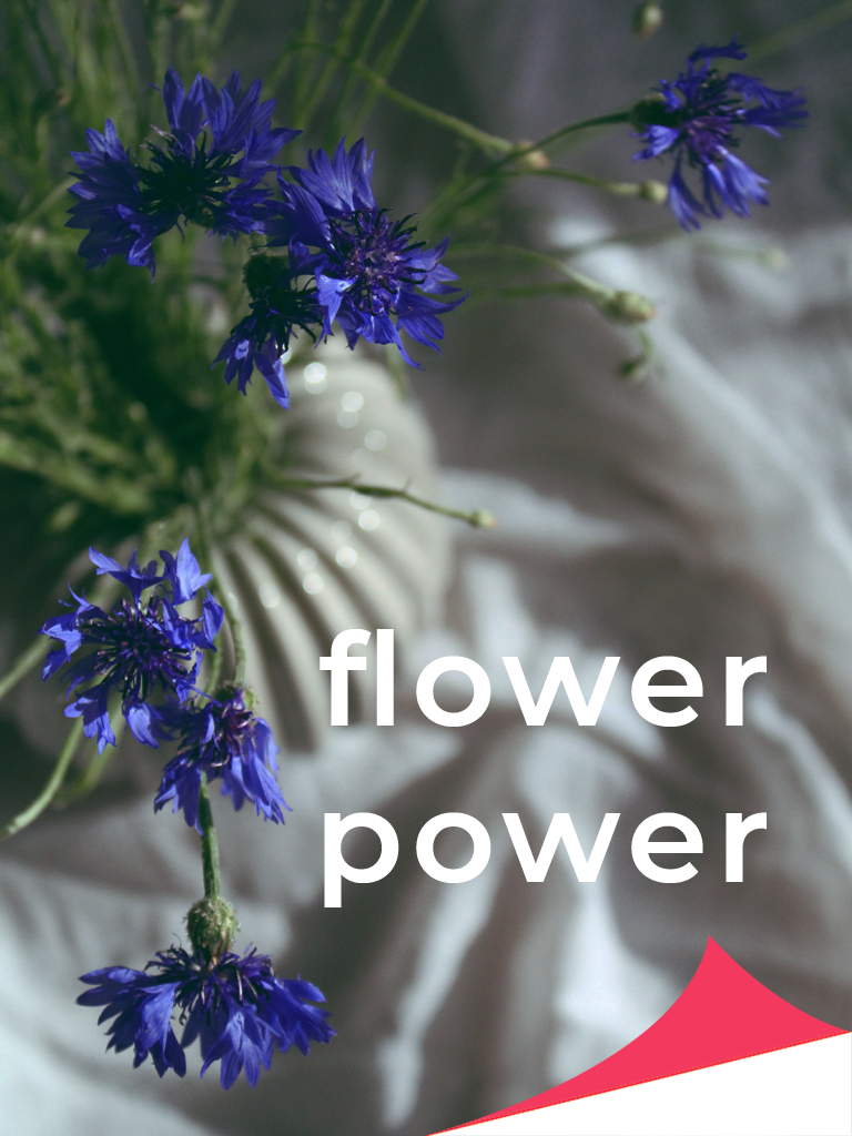 Flower power | Be Momentful
